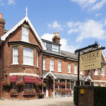 Yorke Lodge Bed & Breakfast-3